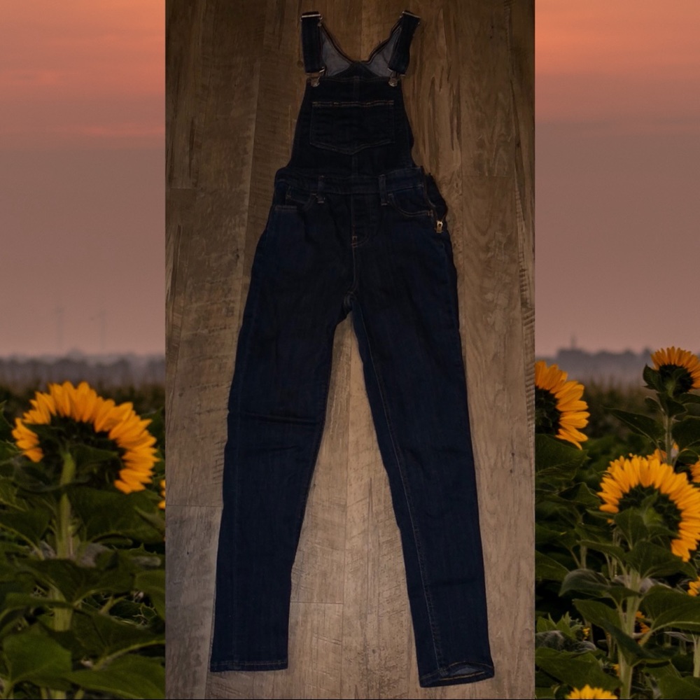 Levi’s Skinny Overalls